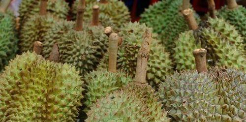 榴莲（探索榴莲背后的象征之美）