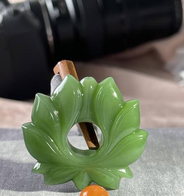 宝相花的意义与象征（探索宝相花的花语和传统象征）