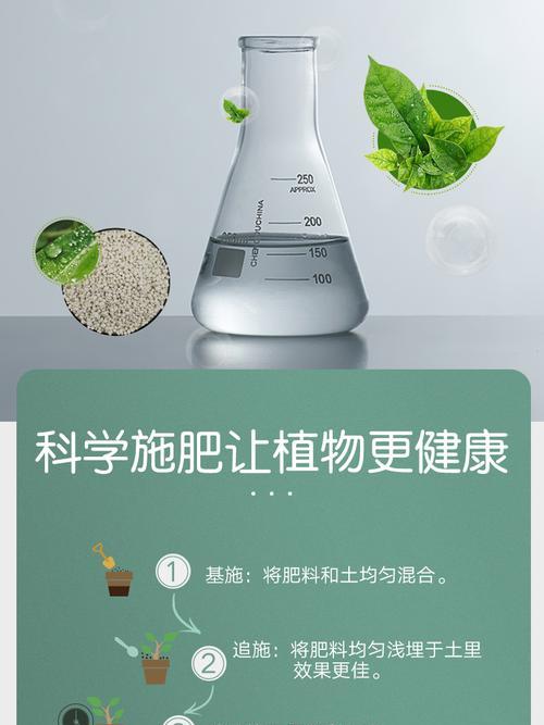 芦笋底肥选择与施用要点是什么？