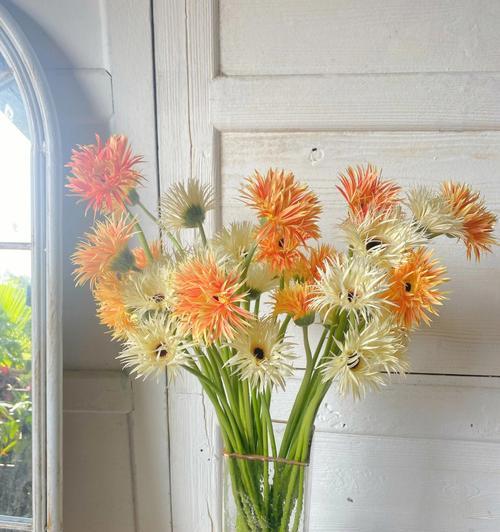 探寻以扶郎的深刻意义（凝聚力量）