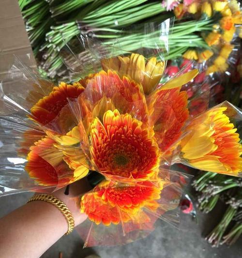 探寻以扶郎的深刻意义（凝聚力量）