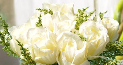 以红蔷薇代表救赎——一个绽放在黑暗中的希望（摘下刺）