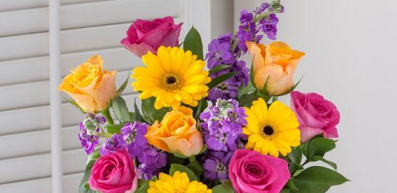 生完孩子送什么花最合适？不同场合的花卉选择指南？