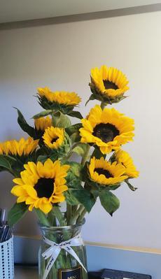 送向日葵（以送向日葵代表什么意思及其象征的情感和价值观）