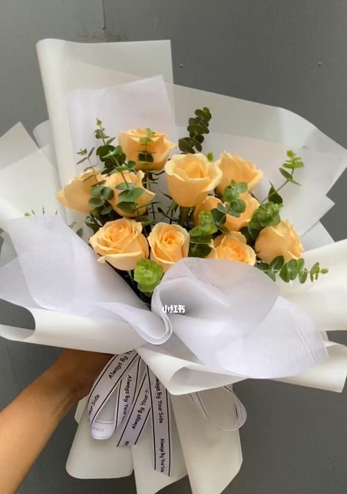 11朵香槟玫瑰的寓意与象征意义（传递温馨与祝福的花语）