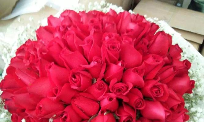 玫瑰花的寓意与传达情感的艺术（以送玫瑰花几朵的含义为主题的探索与解读）