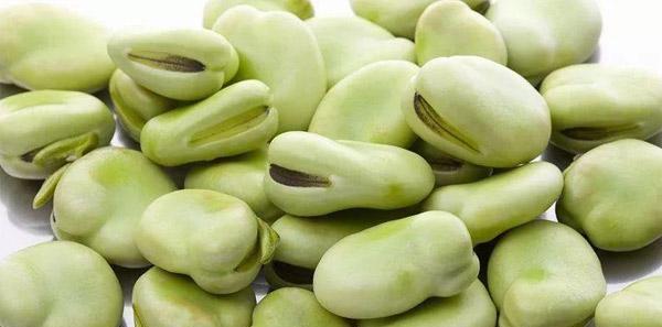 蚕豆属于碳水化合物吗？它们的营养成分有哪些？