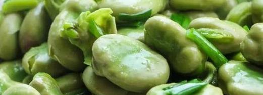 蚕豆属于碳水化合物吗？它们的营养成分有哪些？