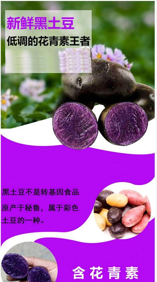 黑土豆主要产自哪里？如何辨别黑土豆的原产地？