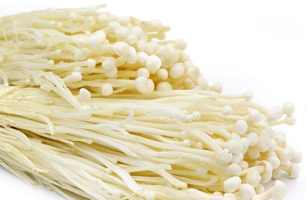 金针菇是植物吗？它属于真菌还是植物？