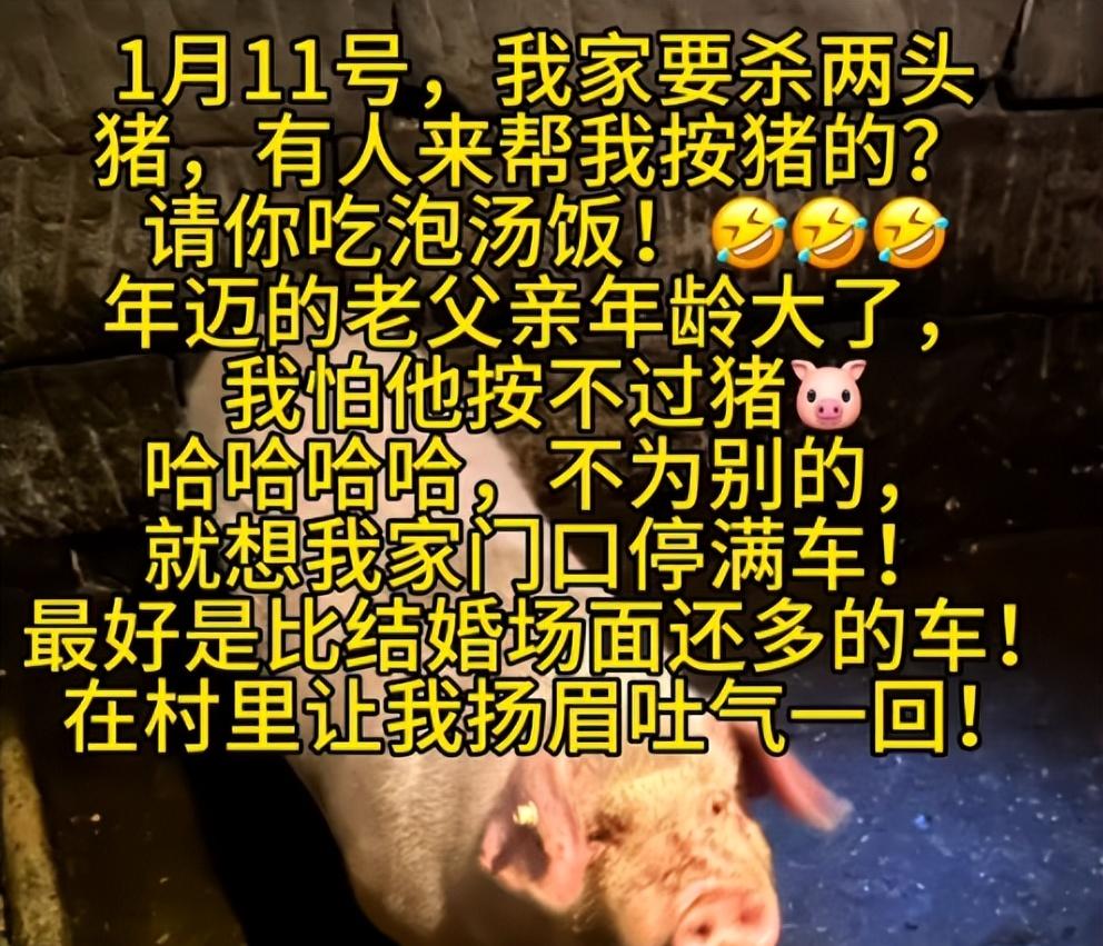 呆呆妹也没想到，杀猪宴结束才1天，一家人已走上了大衣哥的老路