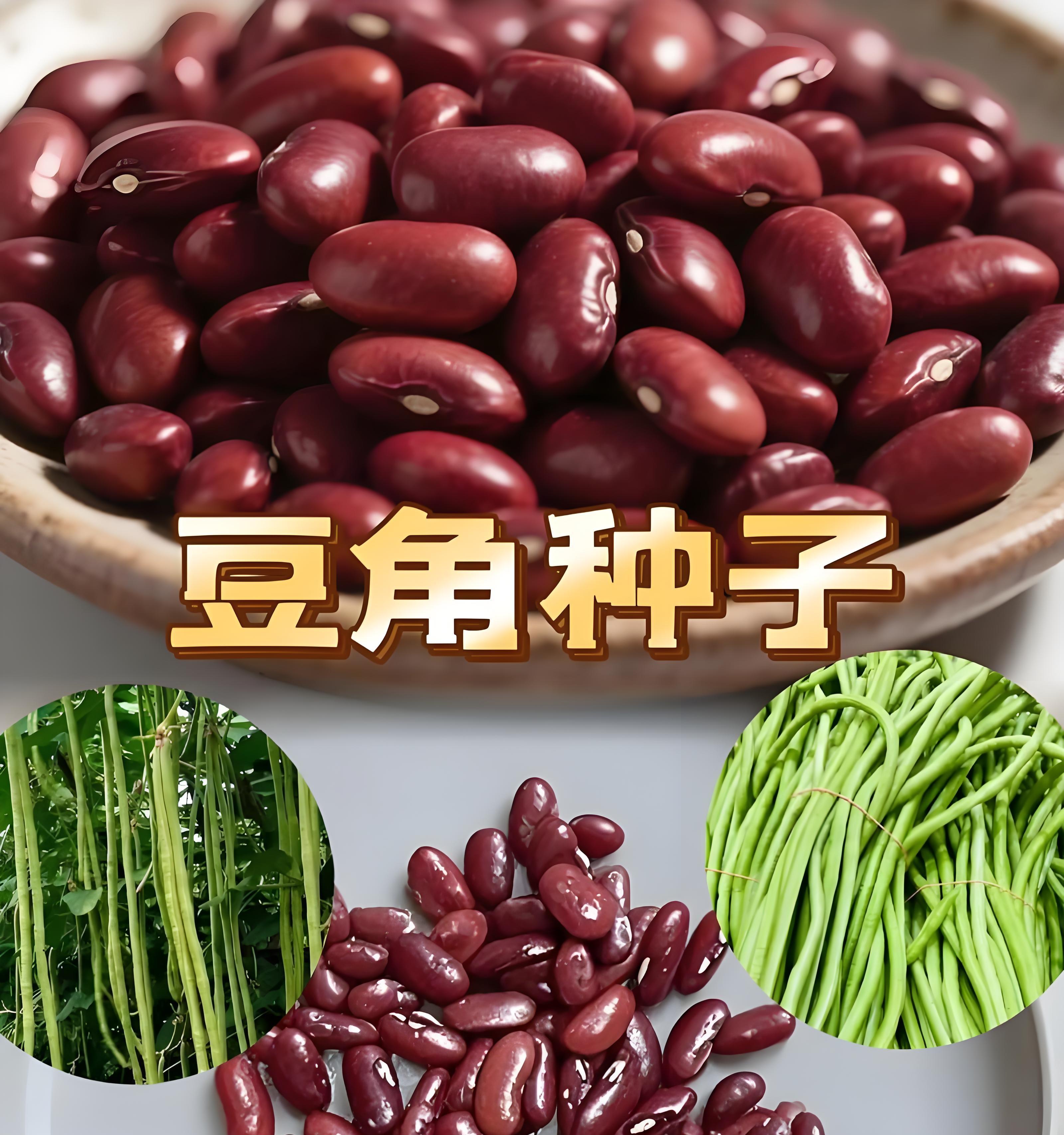 这4类蔬菜千万别买秧苗！老农直接撒种子，长得又快又省心！