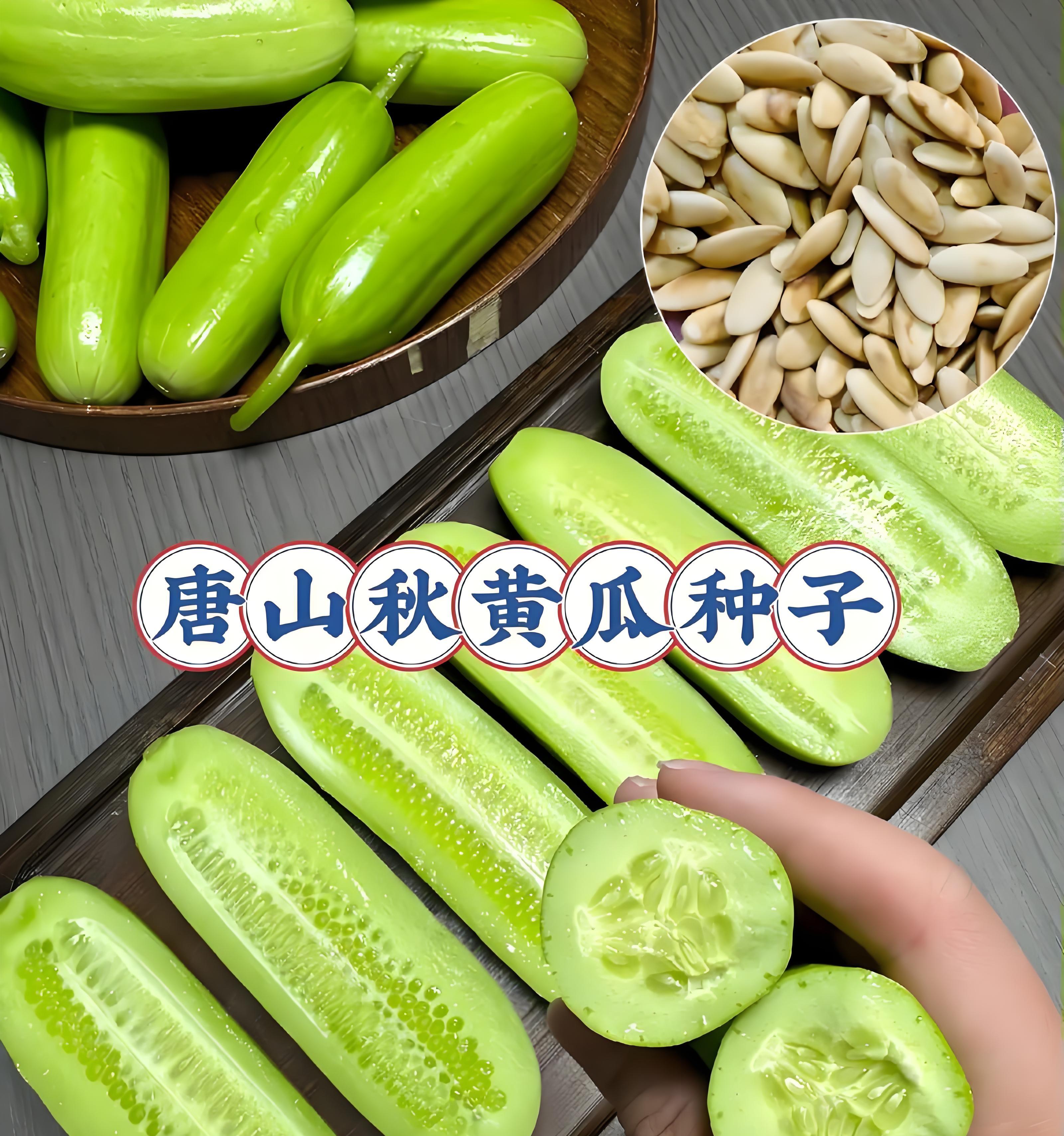 这4类蔬菜千万别买秧苗！老农直接撒种子，长得又快又省心！