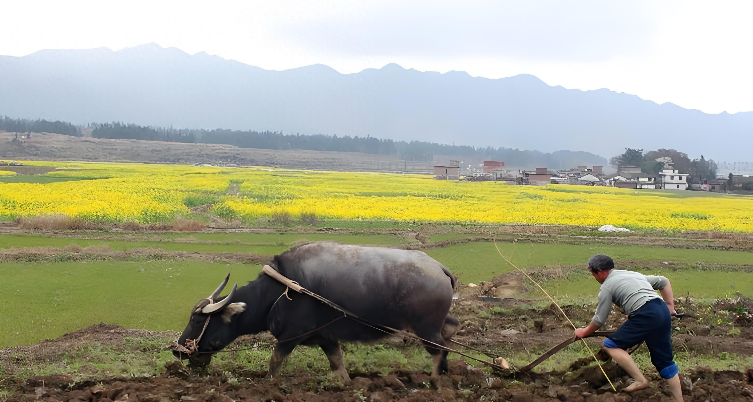 3月、4月、5月种啥菜？北方春播时间表来了！