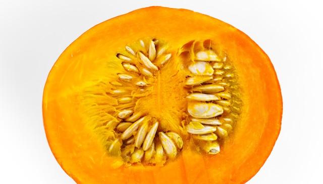 种子催芽学会这几个“小技巧”，芽齐又粗壮，育苗成功率提升90%