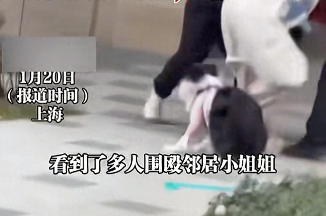 女生牵绳遛狗被一家人辱骂围殴,邻居帮忙也被打!报警后仍嚣张