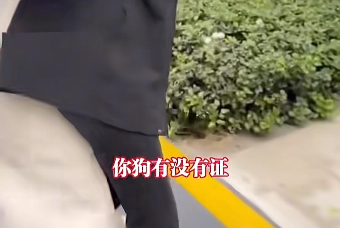 女生牵绳遛狗被一家人辱骂围殴，邻居帮忙也被打！报警后仍嚣张