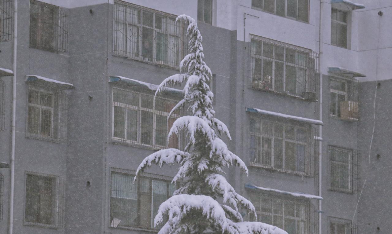 新一轮大范围冷空气来了！明天1月24至25日天气，降雪分布如下