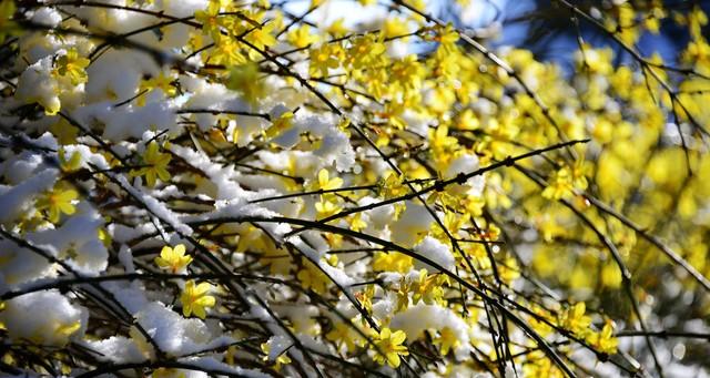 新一轮大范围冷空气来了！明天1月24至25日天气，降雪分布如下