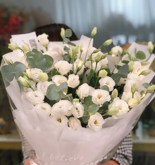 白色洋桔梗（洋桔梗花期）