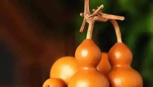 葫芦（揭开葫芦的寓意与风水作用）