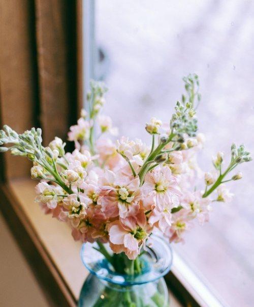 花朵传递正能量的力量（探索花朵如何影响人们的心灵）