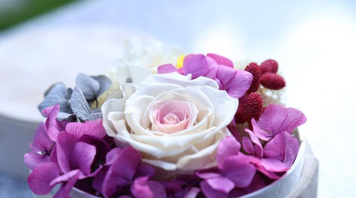 什么花的花语代表永恒不变？永恒花语的花卉有哪些？