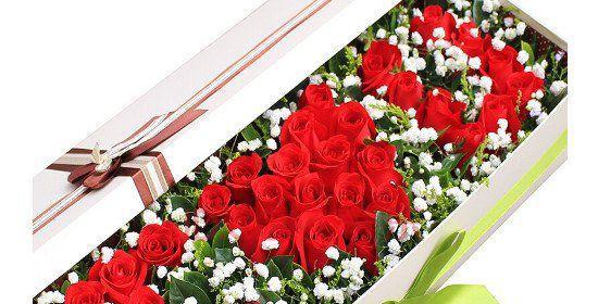 玫瑰花花语之探寻17朵玫瑰的含义（一朵朵玫瑰）