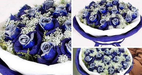 玫瑰花蓝色妖姬（解读玫瑰花蓝色妖姬的含义和象征性）