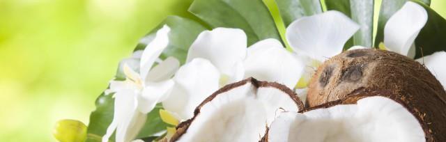 椰青的性质是什么？如何影响身体健康？