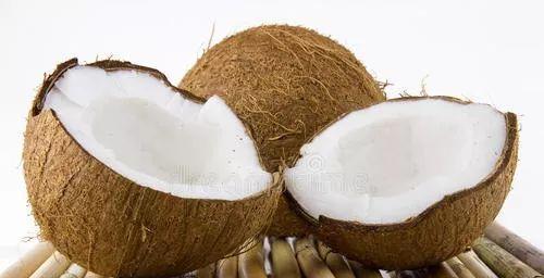 椰青的性质是什么？如何影响身体健康？