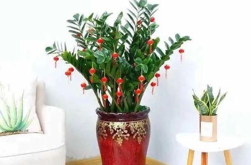 象征富贵的植物（那些带来财富和繁荣的绿色之源）