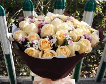 香槟玫瑰的含义与象征（探寻香槟玫瑰所传达的情感与美好）