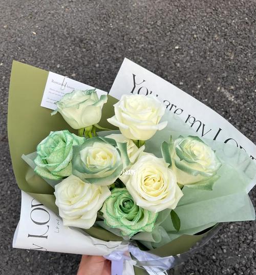 绿玫瑰的象征意义与美丽魅力（绿玫瑰）