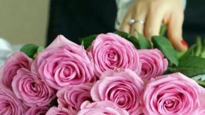 紫玫瑰的花语（深情厚意）