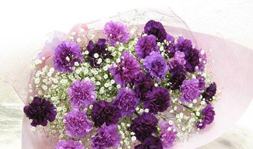 康乃馨花语之送什么人（用花语传达你的情谊）