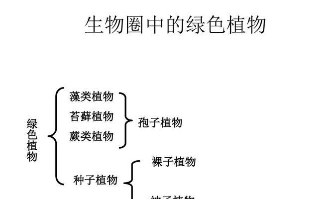 白附子和附子有何不同？它们的区别是什么？