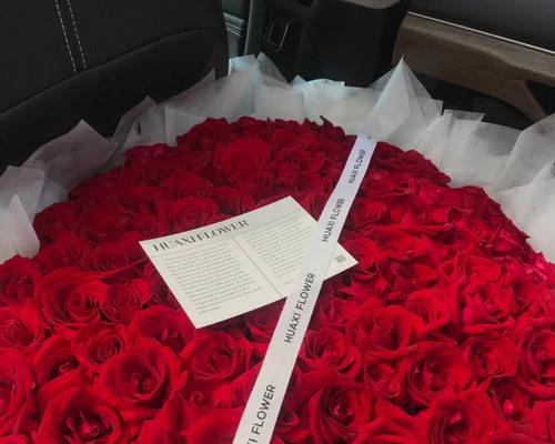 15朵玫瑰花的含义（爱情的绽放与承诺）