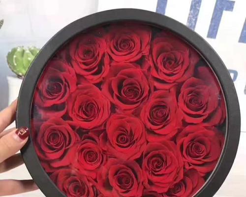 15朵玫瑰花的含义(爱情的绽放与承诺) 15朵玫瑰花的含义(爱情的绽放与承诺)