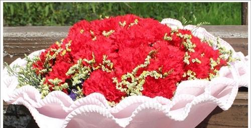 康乃馨之美（康乃馨——传递母爱与挚爱的花朵）