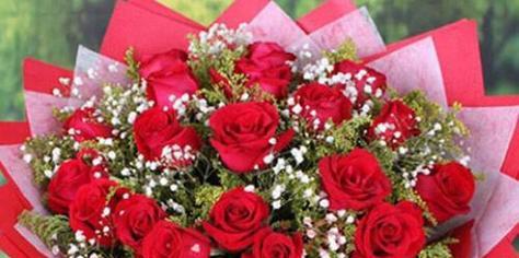 友谊之花（以代表友谊送什么花）