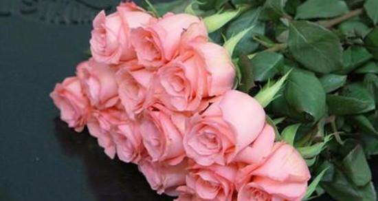 什么花代表放弃爱你的花语？这种花的含义是什么？