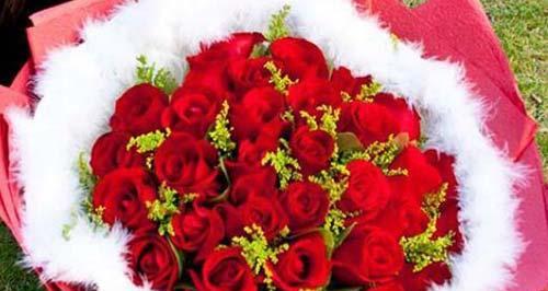 六朵玫瑰花语的深意（解读六朵玫瑰的含义）