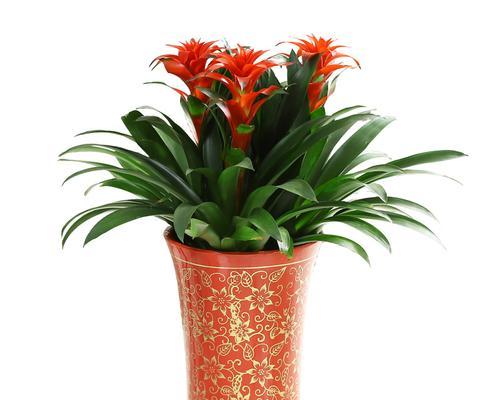 鸿运当头，迎福接财（探寻风水的象征与寓意）