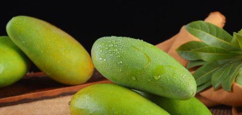 芒果与十二生肖的奇妙联系（探寻芒果背后的生肖之谜）