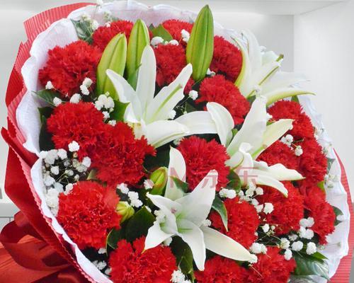 康乃馨花语的深意（探寻19朵康乃馨的花语之美）