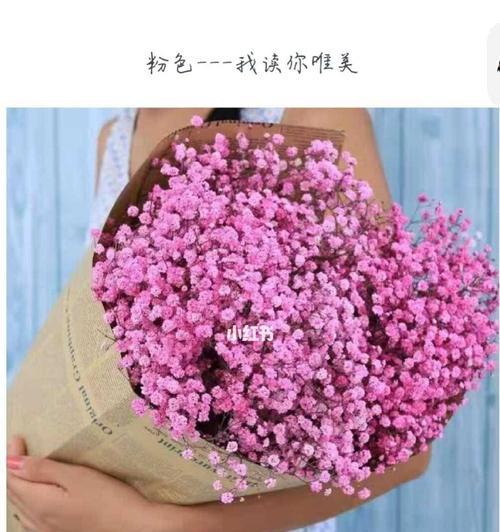 满天星花的特殊含义与寓意（探索满天星花的神秘世界）