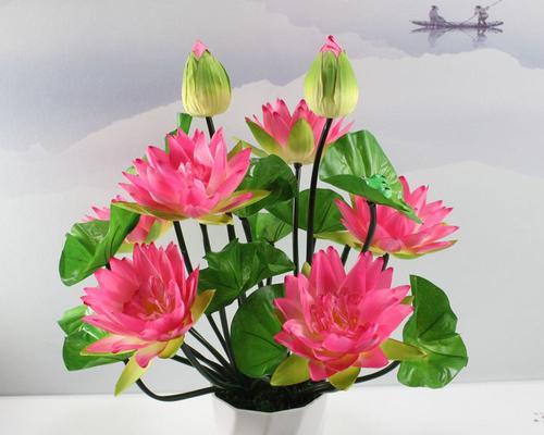 佛莲花的象征意义（从生命的起源到心灵的觉醒）