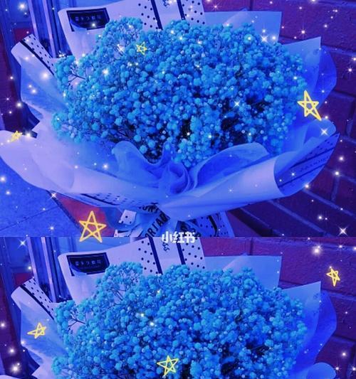 蓝色满天星花的美丽与寓意（探寻蓝色满天星花的花语之美）