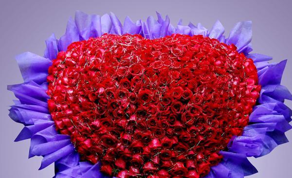 52朵玫瑰的花语与意义（爱情的极致表达与无尽的祝福）